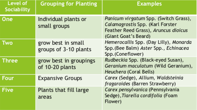 Screen Shot 2019-02-10 at 8.55.38 AM