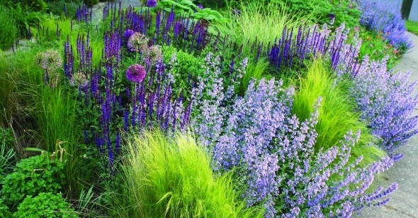 Plants as Mulch