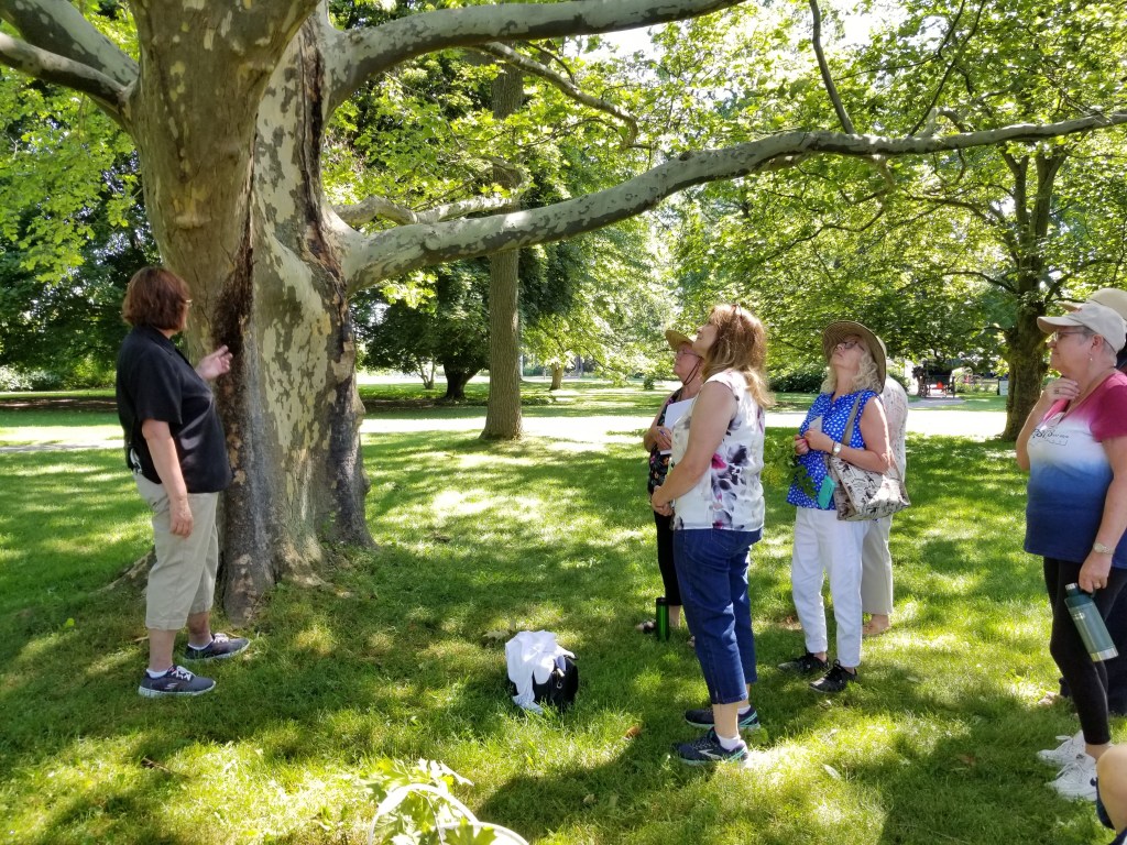 What Is A Master&nbsp;Gardener?