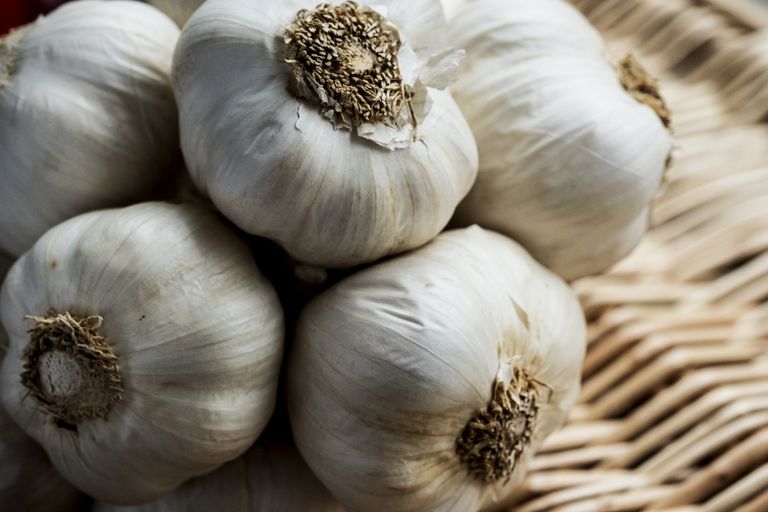 The Stinking Rose – Growing Your Own Garlic