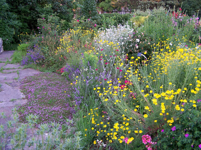 Stratification & Scarification: Breaking Seed&nbsp;Dormancy