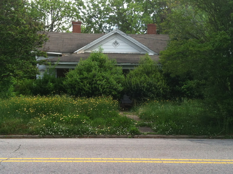 10 Steps to Renew an Overgrown Landscape