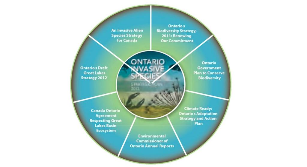 Invasive Alien Species – What Can We&nbsp;Do?