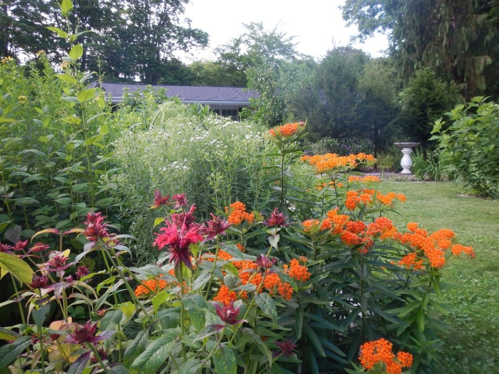 Gardens for Pollinators