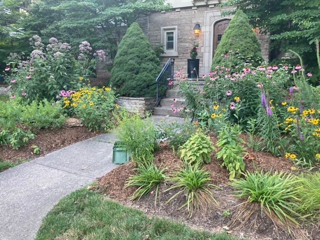 Shirley Rodrigues garden