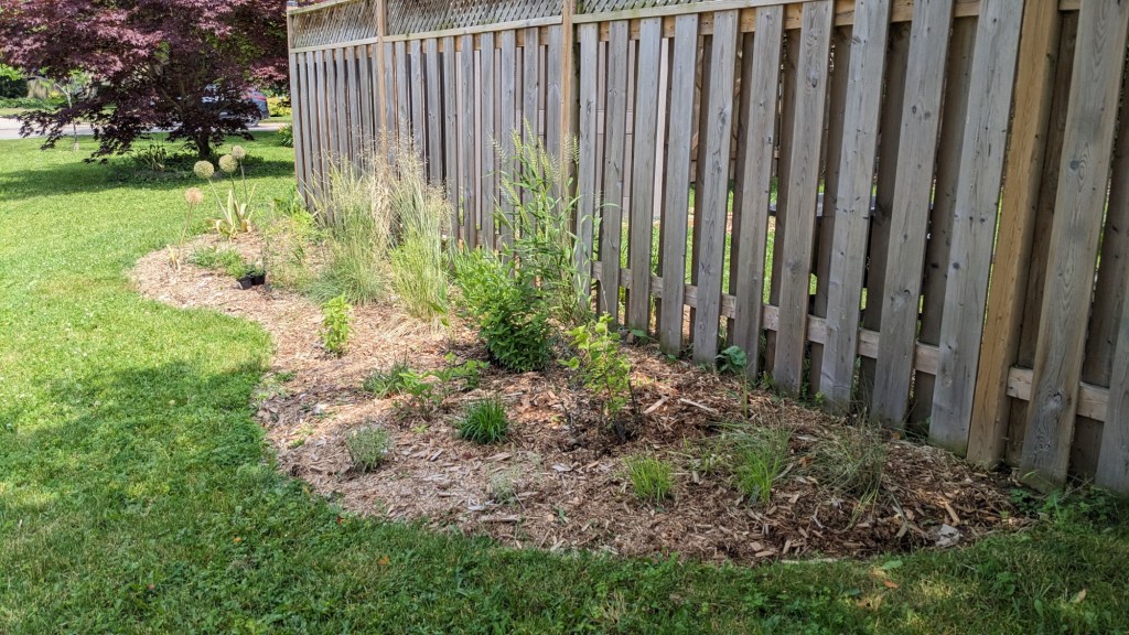 Jessie Chang's garden.