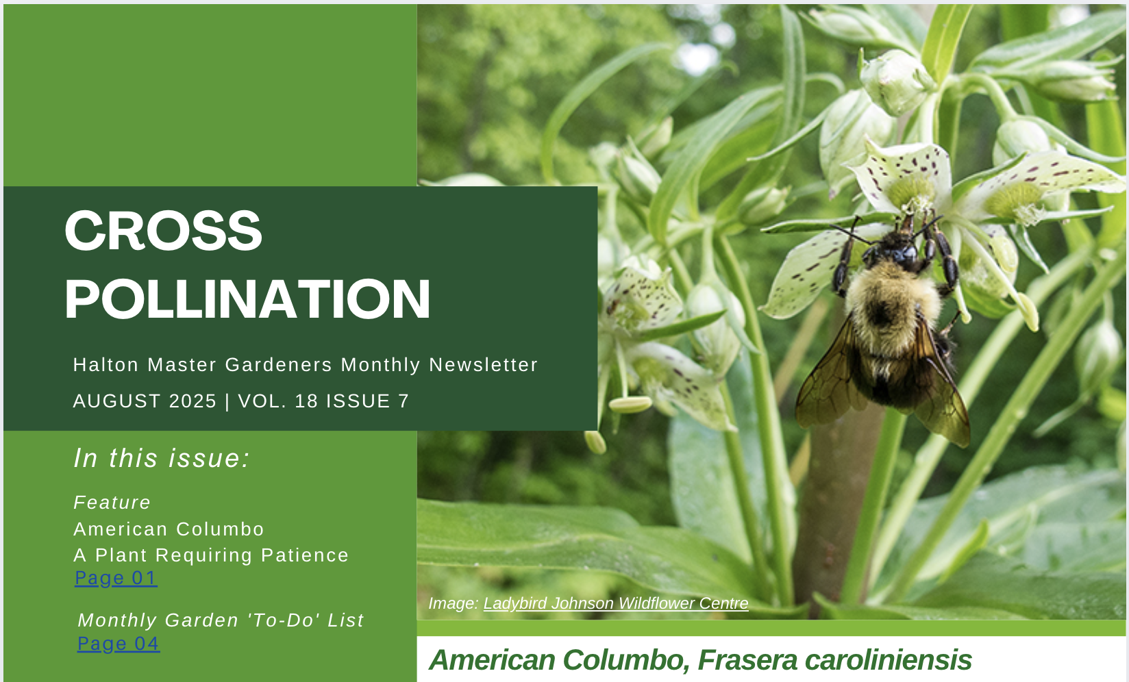 Explore the New Cross Pollination Newsletter Index