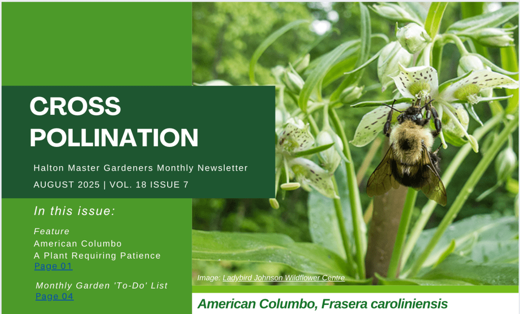 Explore the New Cross Pollination Newsletter Index
